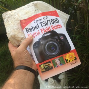 Book found after 2 years in bushes